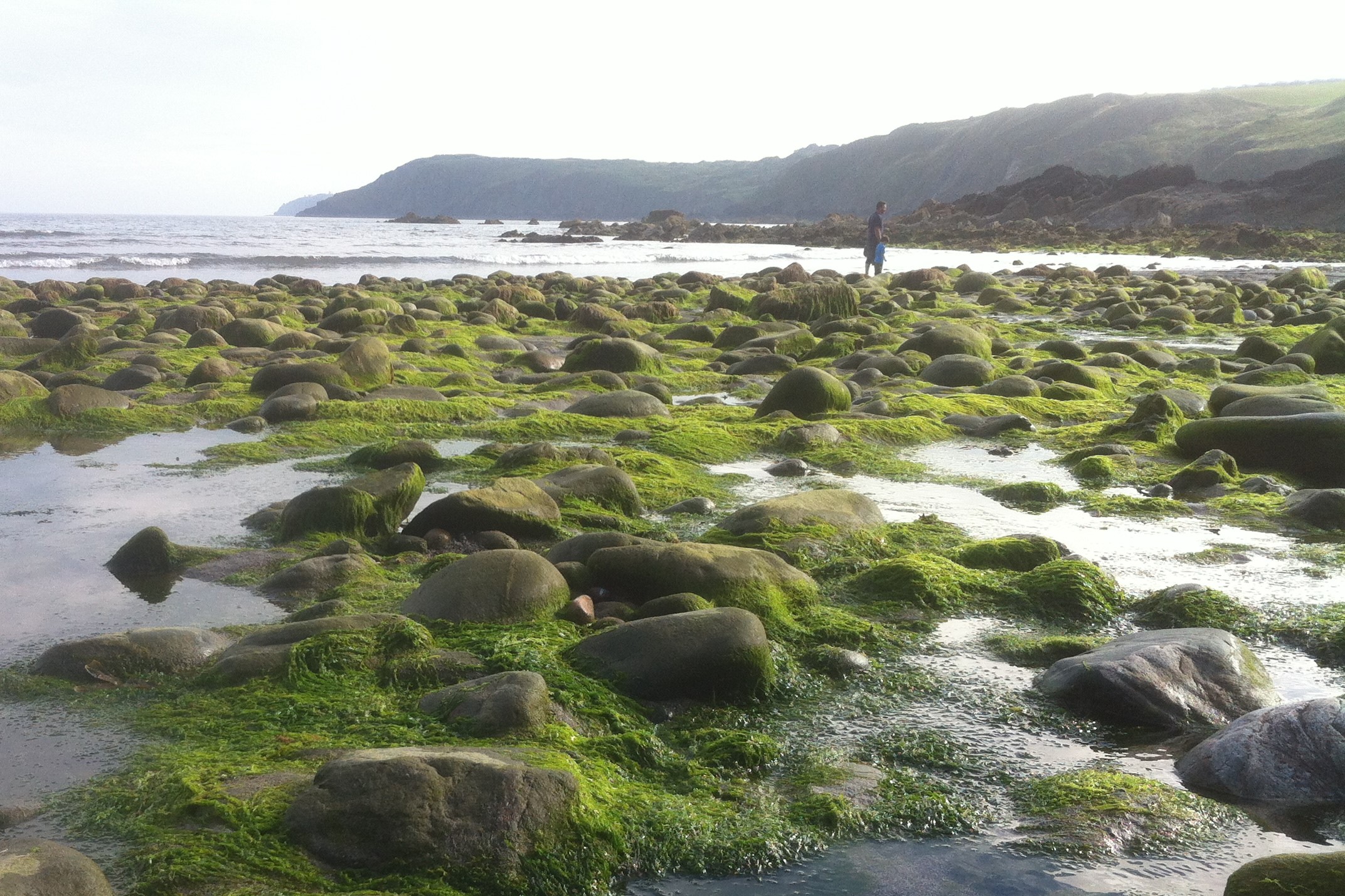 Estren dyworth an Mor (Stranger from the Sea)